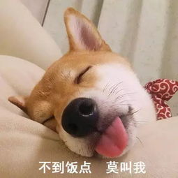 喵喵喵可以怎么组词