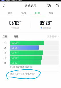 播放肚子的肚怎么组词
