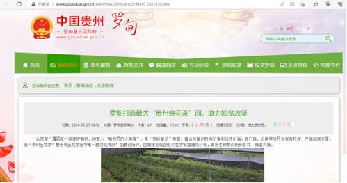 罗甸的罗可以怎么组词