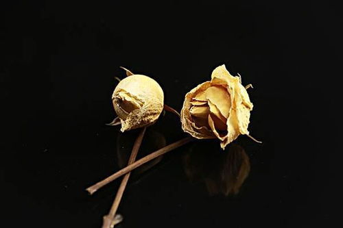 喜欢花怎么组词