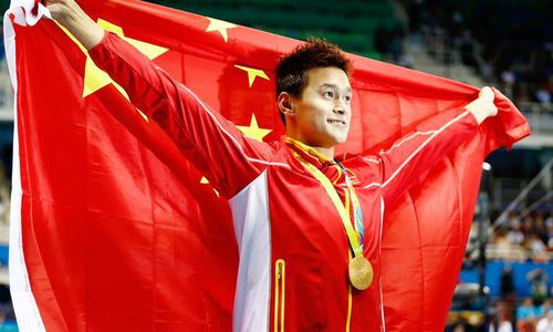 孙杨的孙怎么组词