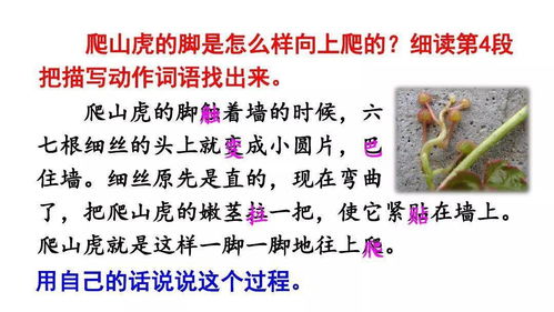 旁边的庞膀怎么组词 旁边的庞膀怎么组词