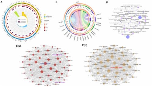 用蛋怎么组词 用蛋怎么组词