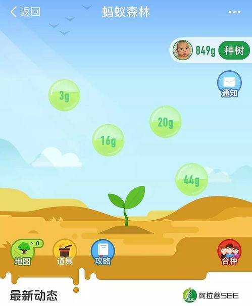 蝴蝶和蚂蚁怎么组词呀