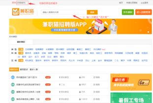 申兼怎么组词 申兼怎么组词