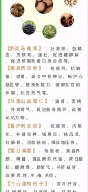 怎么样的细叶组词 怎么样的细叶组词