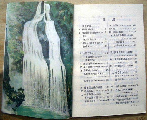 岁怎么组词儿 岁怎么组词儿