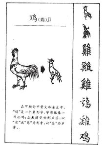 鸡的拼音怎么写组词