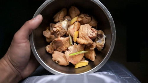 炖怎么组词炖鸡的炖 炖怎么组词炖鸡的炖