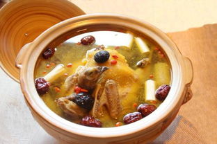 炖怎么组词炖鸡的炖 炖怎么组词炖鸡的炖