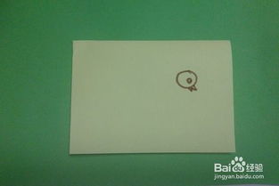 小鸡觅食怎么组词 小鸡觅食怎么组词