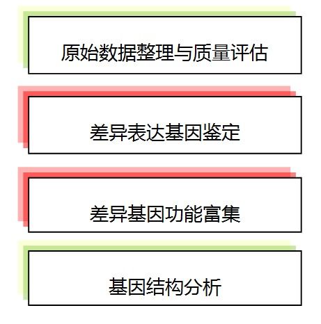 转怎么样组词 转怎么样组词