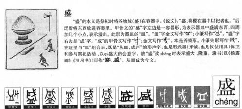 团结组怎么组词语