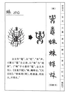 蛛怎么读组词