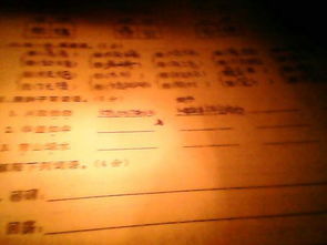 条的组词有哪些