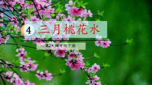 三月桃花水怎么组词