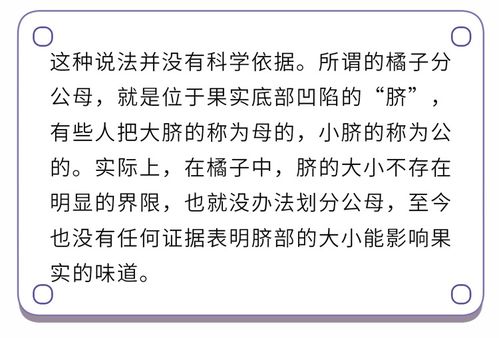 桔子和香蕉怎么组词