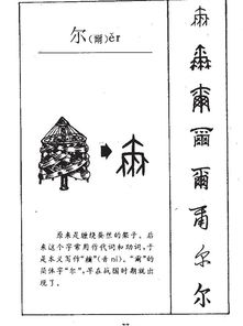 尔的而怎么组词