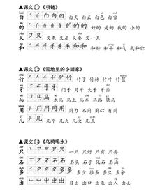 啰组词造句拼音怎么写 啰组词造句拼音怎么写