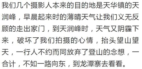 俊叶的叶怎么组词