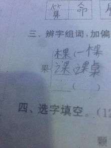 摘果实的侧怎么组词