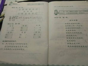 冬天怎么加偏旁组词