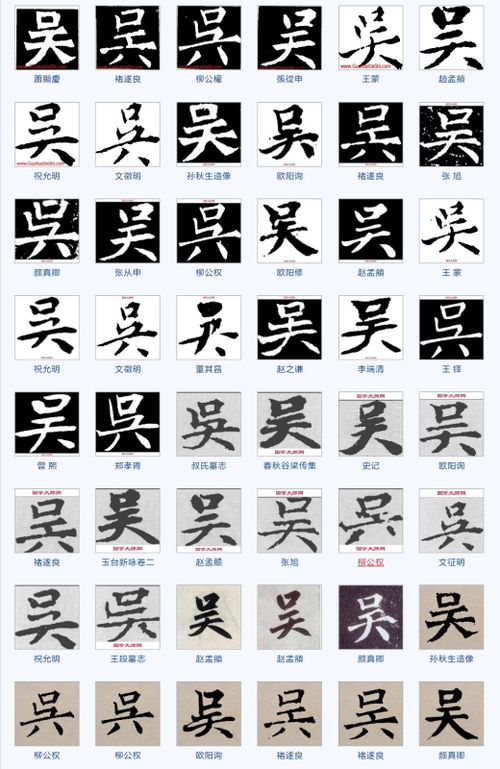 菊的简单组词怎么写