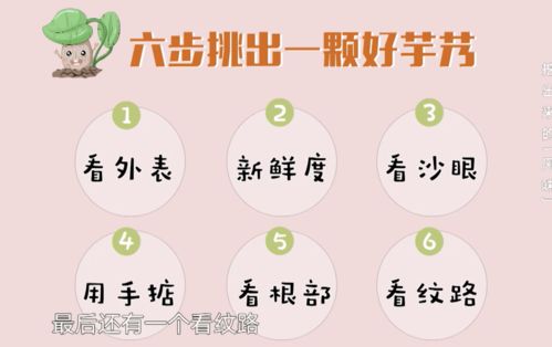 芋头的芋该怎么组词