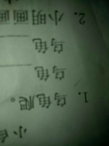 规则的龟可以怎么组词