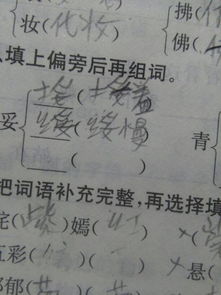 贪字怎么加偏旁并组词