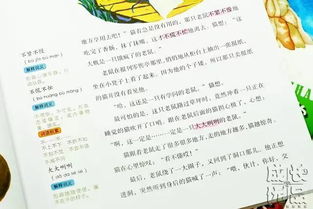 小我的小怎么组词