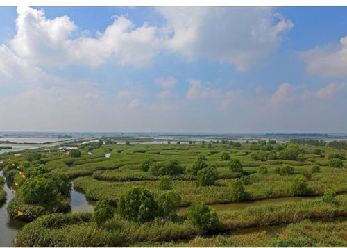 有洼的洼怎么组词 有洼的洼怎么组词