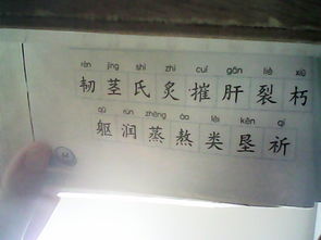 用你们的你怎么组词 用你们的你怎么组词