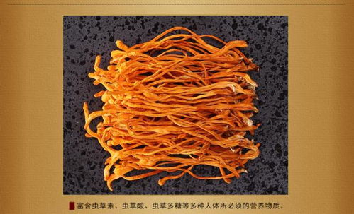 虫草花怎么组词