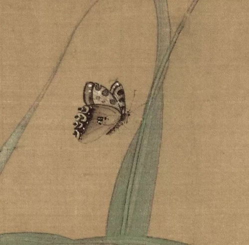 蜻蜓婷婷怎么组词