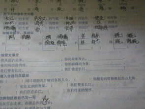 追怎么组词