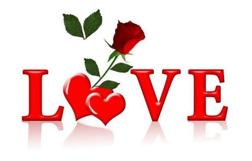 我要看爱组词怎么说 我要看爱组词怎么说