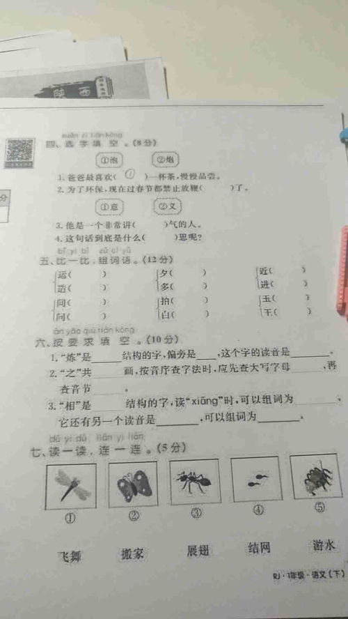 项怎么读拼音和组词