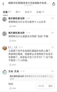 鸭怎么样组词 鸭怎么样组词