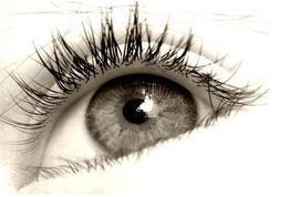 小度眼睛的眼睛怎么组词