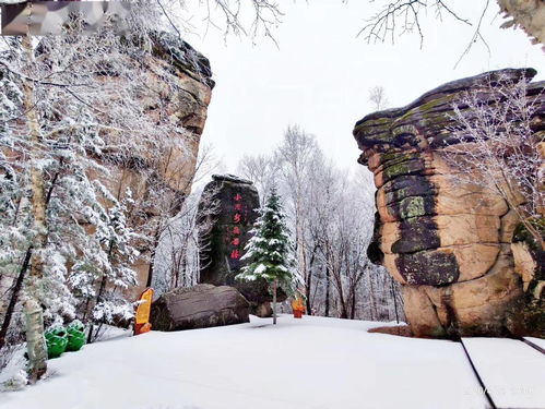 冰雪的这个冬怎么组词