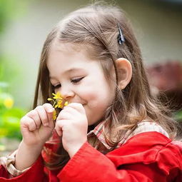 宝宝的宝怎么组词啊