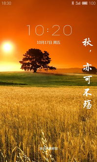 夕阳的夕的夕怎么组词