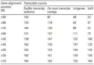 the甘蔗的蔗怎么组词