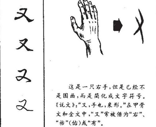 又怎么组词又怎么写