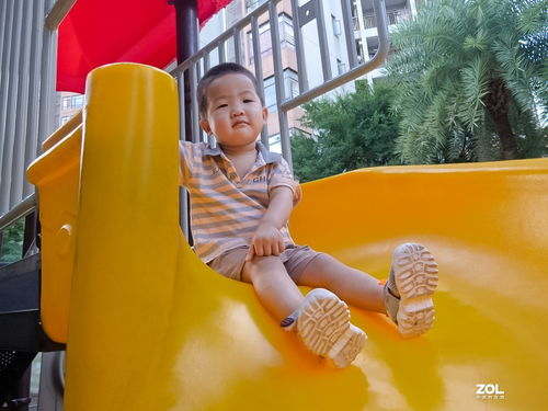 拍片子的片怎么组词