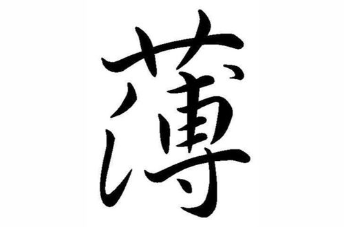 薄怎么组词bao 薄怎么组词bao