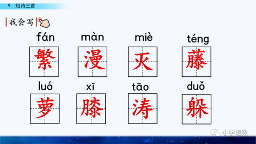 折腾的藤可以怎么组词