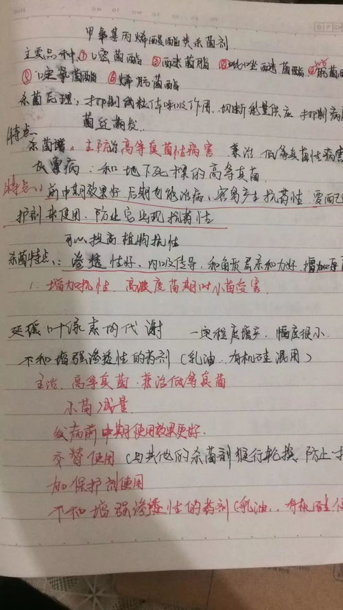 亲怎么组词轻轻的轻