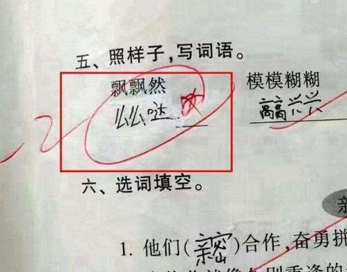 虽然的虽怎么组词